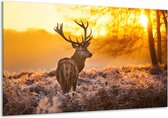 Peinture sur toile Cerf | Marron, jaune | 120x70cm 1Hatch