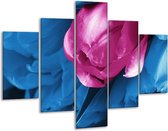 Peinture sur verre tulipe | Rose, Bleu | 100x70cm 5Liège | Tirage photo sur verre |  F003832
