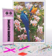 Compleet Full Diamond Painting voor volwassenen en kinderen - Papegaaien vogels - 30x40cm volledig pakket met accessoires - Cadeau tip