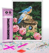 Compleet Full Diamond Painting voor volwassenen en kinderen - Blauwe vogels - 30x40cm volledig pakket met accessoires - Cadeau tip