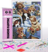 Compleet Full Diamond Painting voor volwassenen en kinderen - Puppy's honden - 30x40cm volledig pakket met accessoires - Cadeau tip