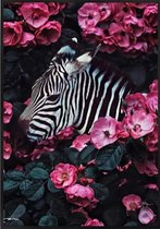 Schilderen Op Nummer Volwassenen - 3D Zebra - Met Frame - 30x40 cm