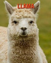 Llama