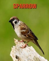 Sparrow