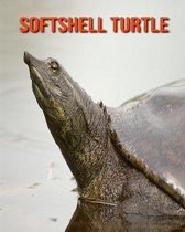Softshell Turtle