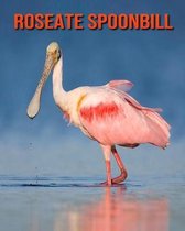 Roseate Spoonbill