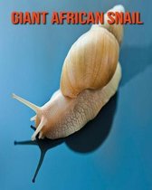 Giant African Snail