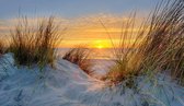 Fotobehang zonsondergang in de duinen van Ameland 450 x 260 cm - € 295,--