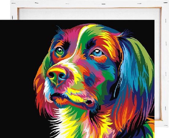 Schilderen op nummer volwassenen - met frame - 40x50cm - hond | bol.com