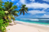 Tuinposter - Palmbomen op wit strand - omgezoomde rand - 120x80cm
