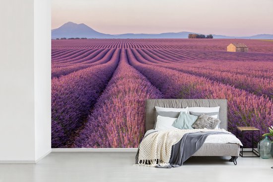 Champ de lavande violet étiré entre les montagnes Papier peint photo vinyle largeur 330 cm x hauteur 220 cm - Tirage photo sur papier peint (disponible en 7 tailles)