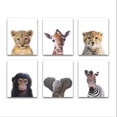 Schilderij Canvas Jungle Set 6 Baby Aapje Giraffe Cheeta en Tijger - 6 Luik Kinderkamer - Dieren Doek - Babykamer / Kinder Doek - Babyshower Cadeau - Muurdecoratie - 50x40cm - FramedCity