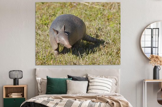 Toile de tatou dans l'herbe 2cm 160x120 cm - Tirage photo sur toile (Décoration murale salon / chambre) / Animaux sauvages Peintures sur toile XXL / Groot format!