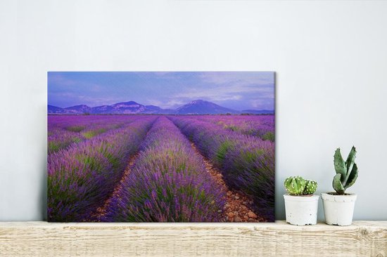 Rangées de toile de lavande 30x20 cm - petit - Tirage photo sur toile (Décoration murale salon / chambre)