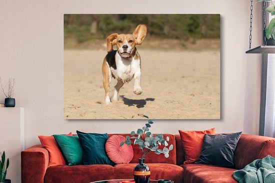 Peintures sur toile - Beagle marche dans le sable - 150x100 cm - Décoration murale