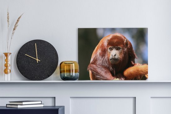 Gros plan singe hurleur rouge 40x30 cm - petit - tirage photo sur toile (Décoration murale salon / chambre) / animaux sauvages Peintures sur toile