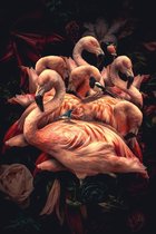 VAN HELDER DESIGN - Exclusive - Dieren - Flamenco Rosa - 80x120cm - Glasschilderij - Wanddecoratie & Schilderijen
