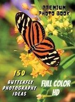 150 BUTTERFLY PHOTOGRAPHY IDEAS - Professional Stock Photos And Prints - Full Color HD