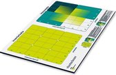 TALENTANALYSE - nine grid - Nederlands, Whiteboard