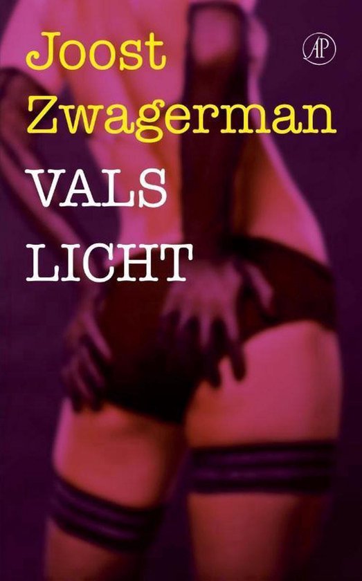 9789029566902 - Joost Zwagerman - Vals licht
