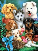 Dielay - Diamond Painting Pakket - Puppy's - 40x30 cm - Complete Set - Volledige Bedekking - Ronde Steentjes