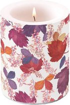 Stompkaars Ambiente Big Indian Summer