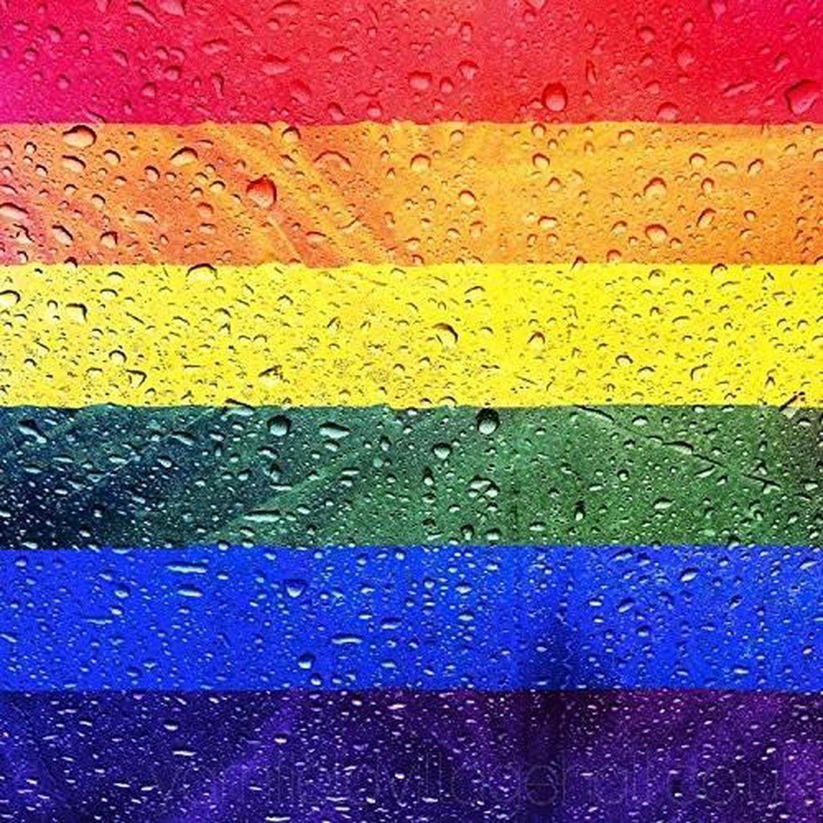 Valedelucs Regenboogvlag 90 X 150 Cm Gaypride Lgbt Vlag Rainbow