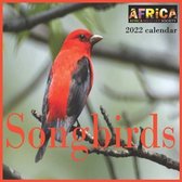 Songbirds calendar 2022