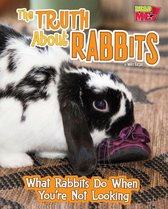 Pets Undercover! - The Truth about Rabbits