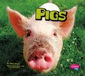 Farm Animals - Pigs