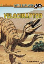 Little Paleontologist - Velociraptor
