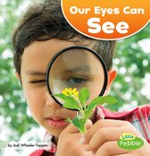 Our Amazing Senses - Our Eyes Can See