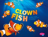 Sea Life - Clown Fish