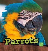Birds - Parrots