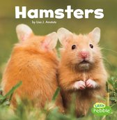 Our Pets - Hamsters
