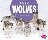 Animal Groups - A Pack of Wolves
