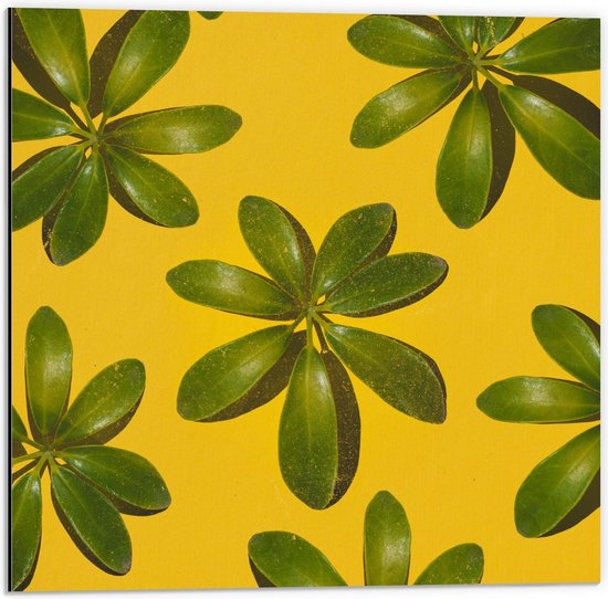 Dibond - Groene Bladeren met Gele Achtergrond - 50x50cm Foto op Aluminium (Met Ophangsysteem)