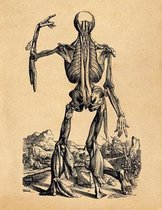 Anatomy Notebook: Andreas Vesalius - Skinless Man Muscles 13 - Premium College Ruled Notebook 110 Pages