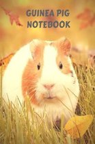 Guinea Pig Notebook: For Taking Notes