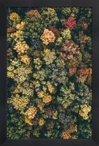 JUNIQE - Poster met houten lijst Herfstbomen - luchtfotografie -13x18