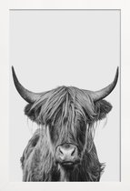 JUNIQE - Poster met houten lijst Highland Cow Classic -13x18 /Wit &
