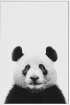 JUNIQE - Poster met kunststof lijst Panda II -20x30 /Wit & Zwart