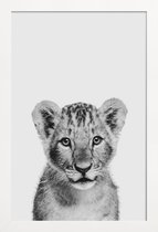 JUNIQE - Poster in houten lijst Lion Cub II Classic -40x60 /Wit &