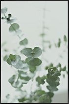 JUNIQE - Poster in kunststof lijst Eucalyptus Green 2 -30x45 /Groen &