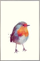 JUNIQE - Poster met kunststof lijst Roodborstje illustratie -20x30