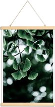 JUNIQE - Posterhanger Ginko -40x60 /Kleurrijk