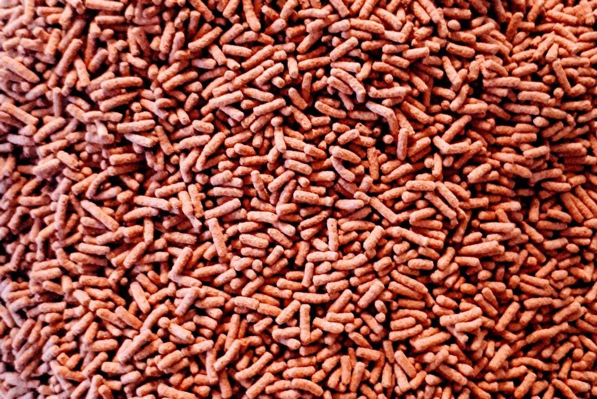 Cichlide sticks rood ( 1000 ml )