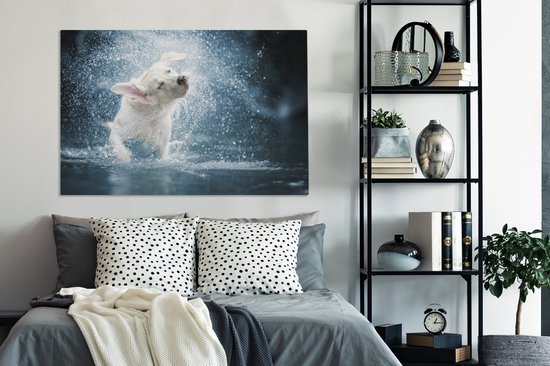 Labrador secoue la toile d'eau 2cm 140x90 cm - Tirage photo sur toile (Décoration murale salon / chambre) / Peintures sur toile pour Animaux domestiques