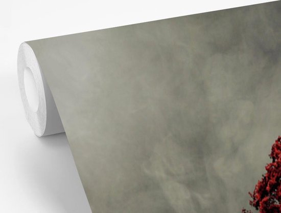 Papier peint vinyle - Une photo noir et blanc avec un grand arbre rouge largeur 190 cm x hauteur 260 cm - Tirage photo sur papier peint (disponible en 7 tailles)