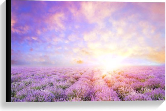 Canvas  - Lavendel Veld - 60x40cm Foto op Canvas Schilderij (Wanddecoratie op Canvas)
